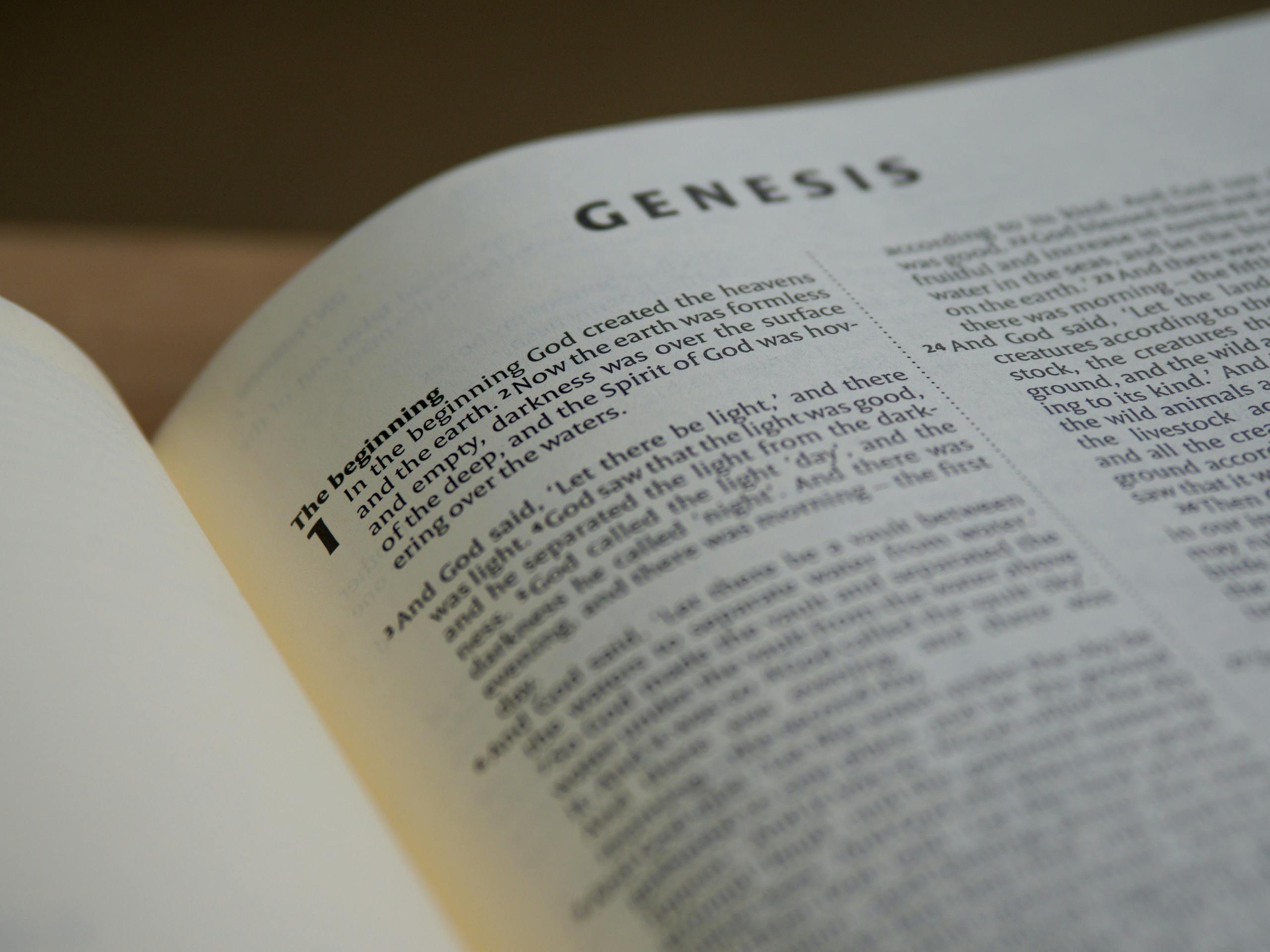 THE WORD OF GOD IS THE GENESIS AND THE BASIS OF ALL THINGS